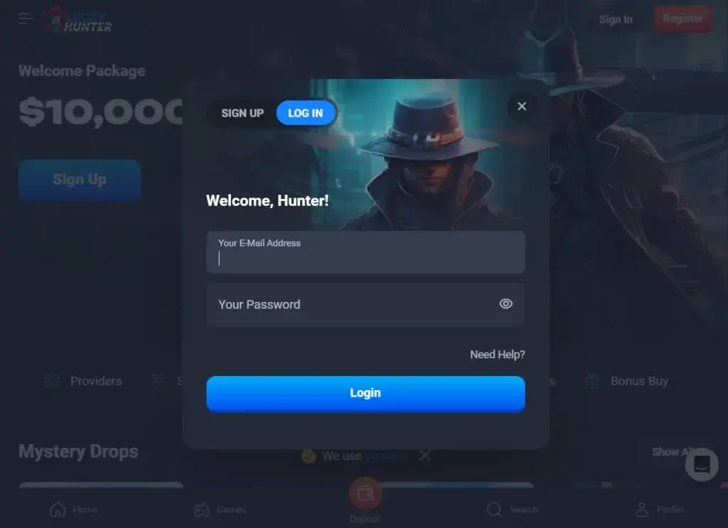 Login Process